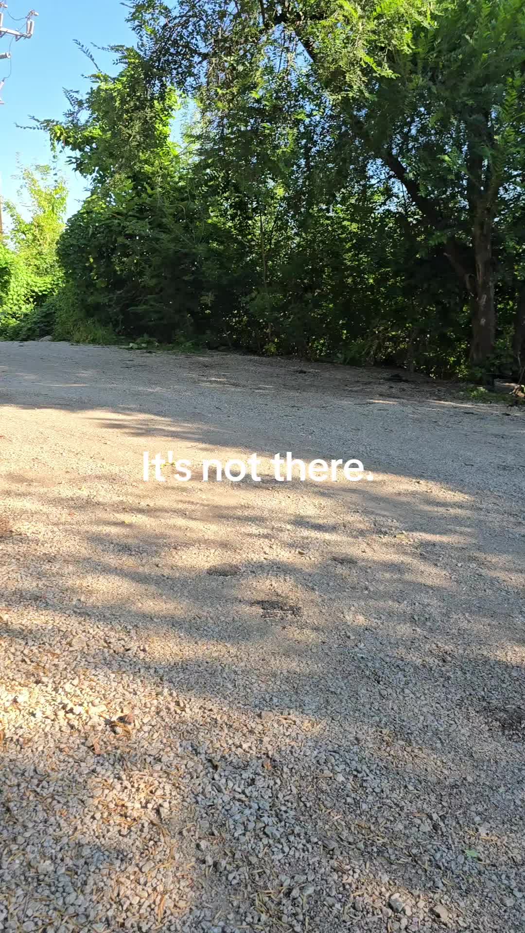 @frankwolftown