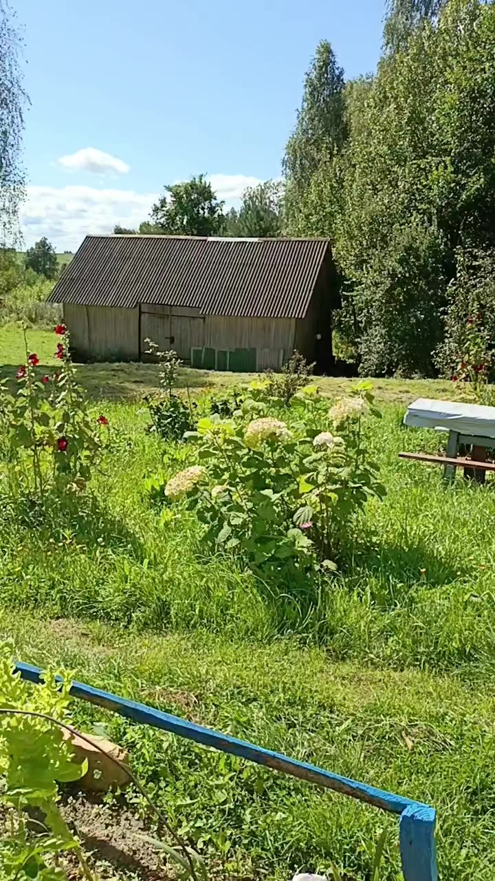 @Елена Скрипка