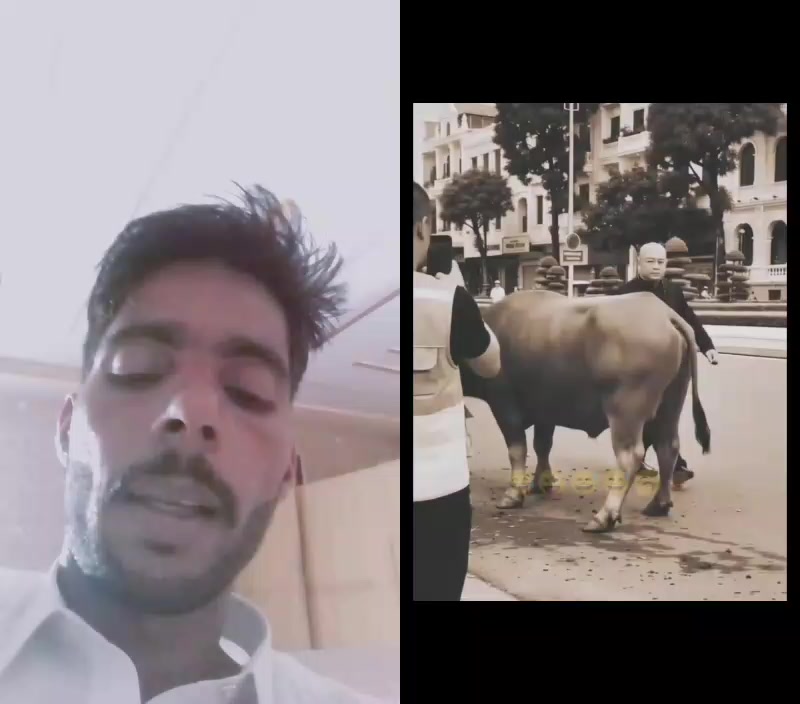 @Sajjad CH