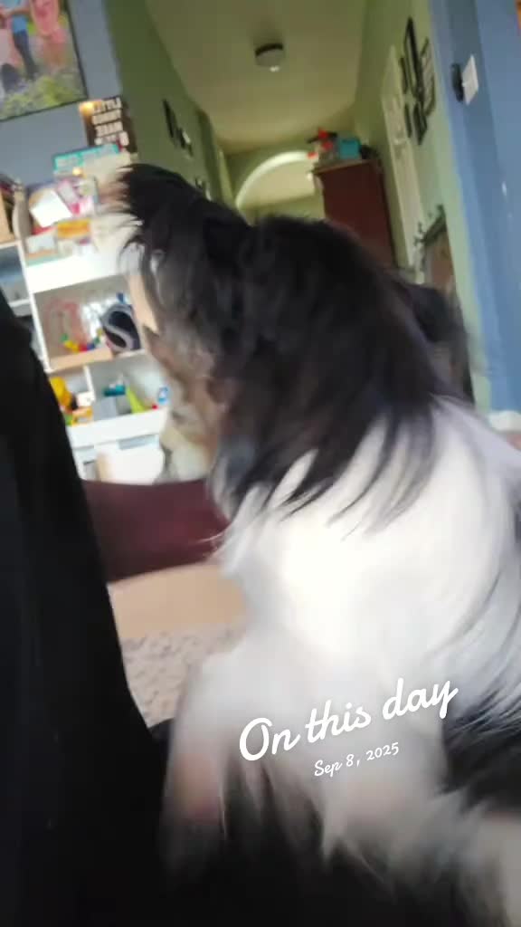 @TheLittleLunaBean
