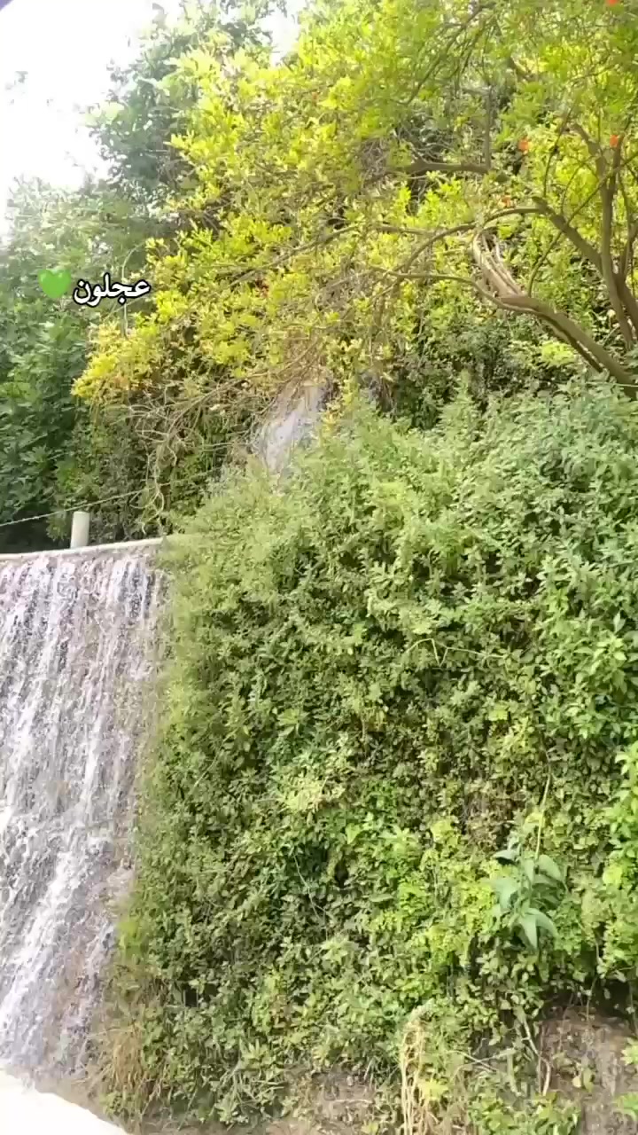 @𝓪𝓵_𝓴𝓱𝓪𝓵𝓲𝓭𝓲𝔂𝓪𝓱💗