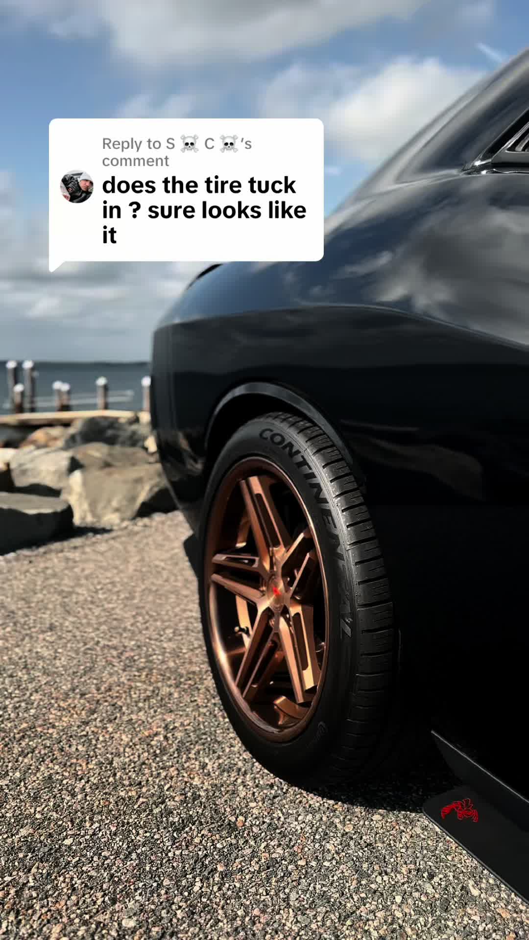 @Scatpack Bee 🐝
