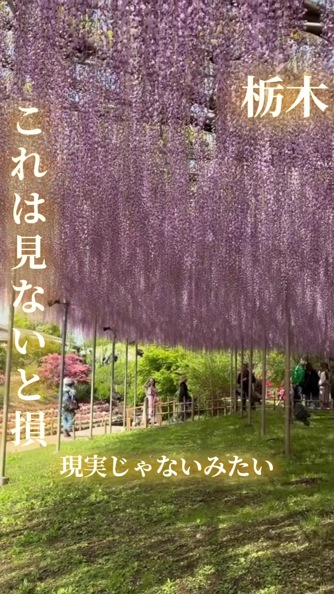 @寝不足夜更かしバリトン