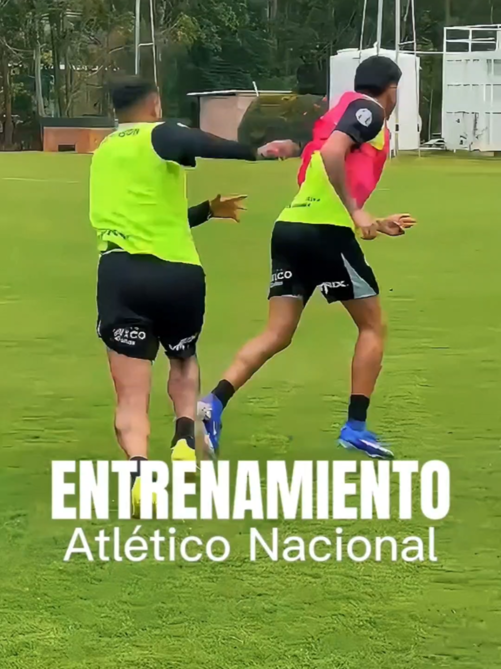 @NOTICIAS DEL VERDE