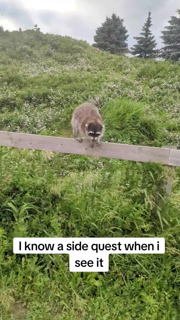 @OssamShow