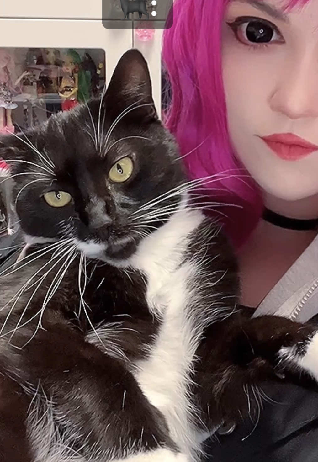 @MeikaAlien