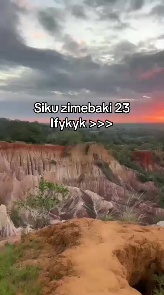 @mkunaji