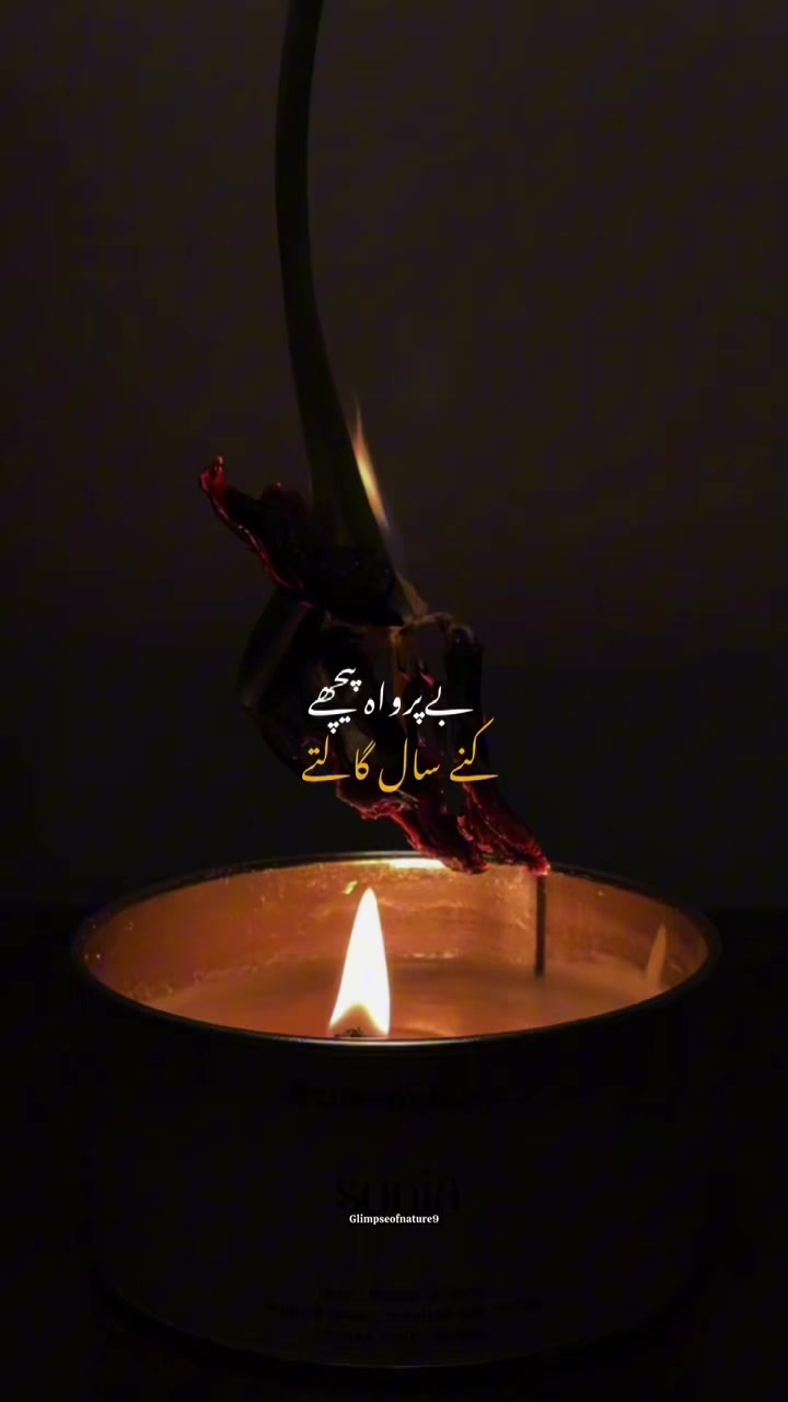 @Amna Mir❥