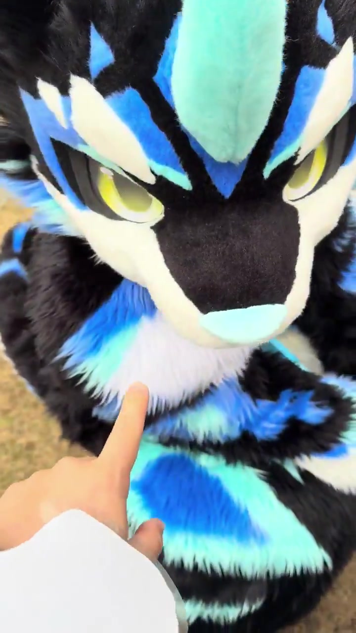 @radywolf