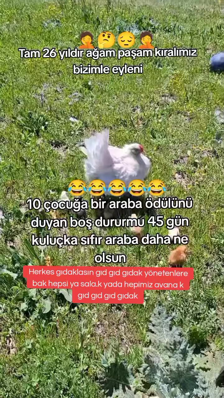 @ümit yariz