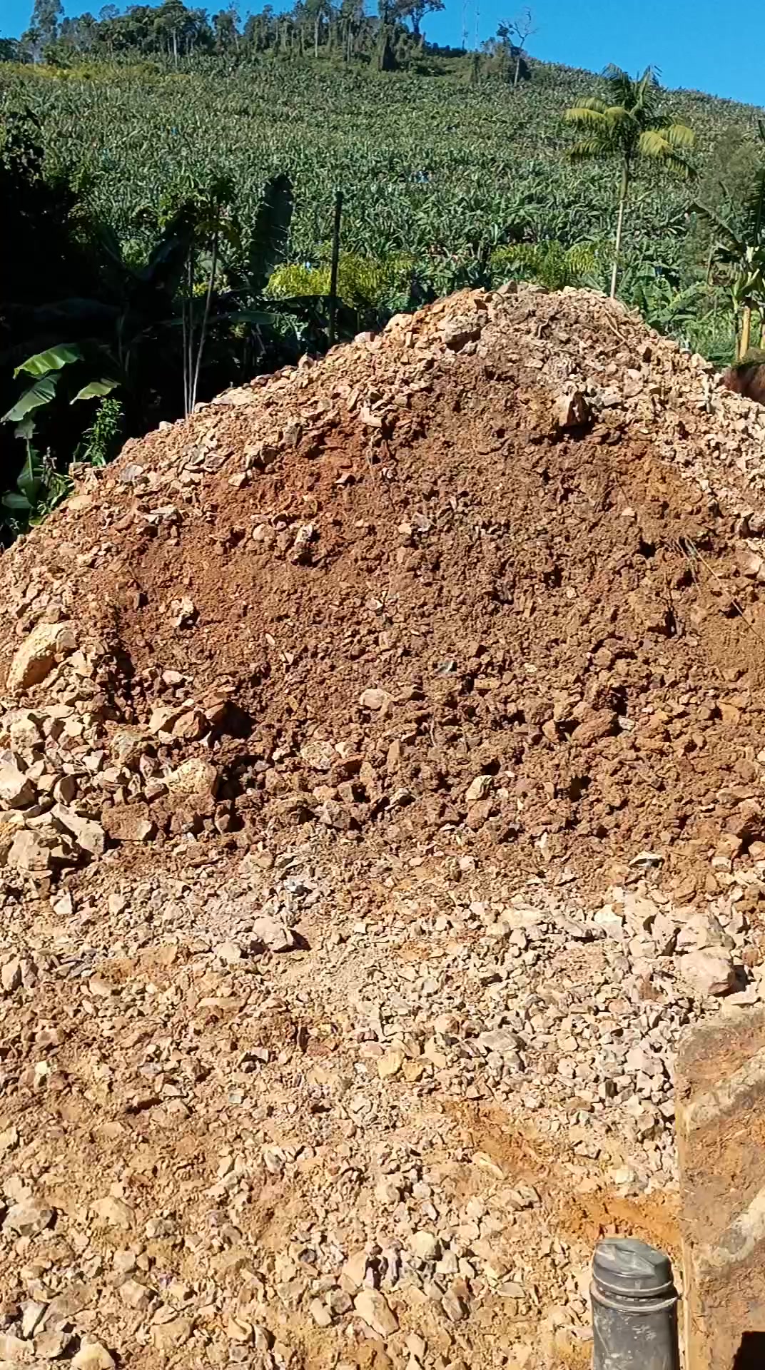@vilmar alem&atilde;o