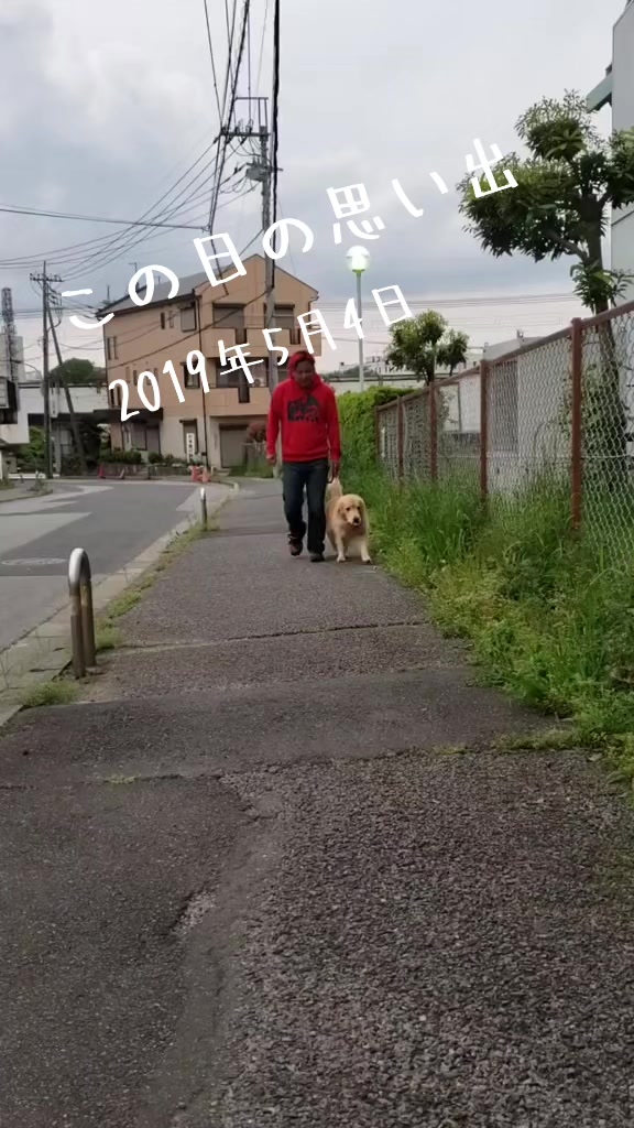 @🍐日下アレックス🍐