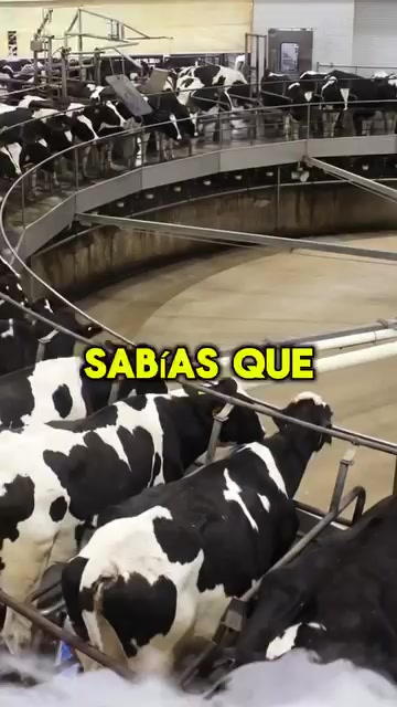 @La Leonera