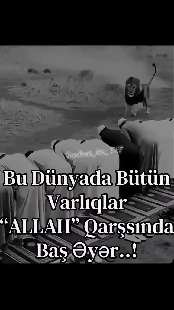 @zalehabdullayev ❤🌹