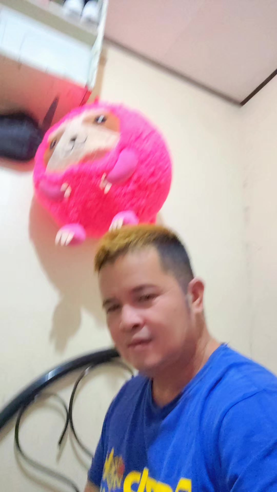 @boss pai