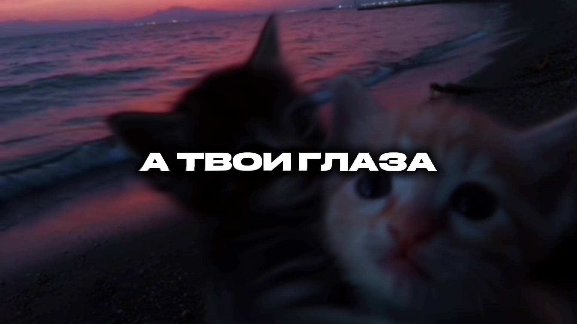 @𝒕𝒊𝒔𝒉𝒌𝒂!