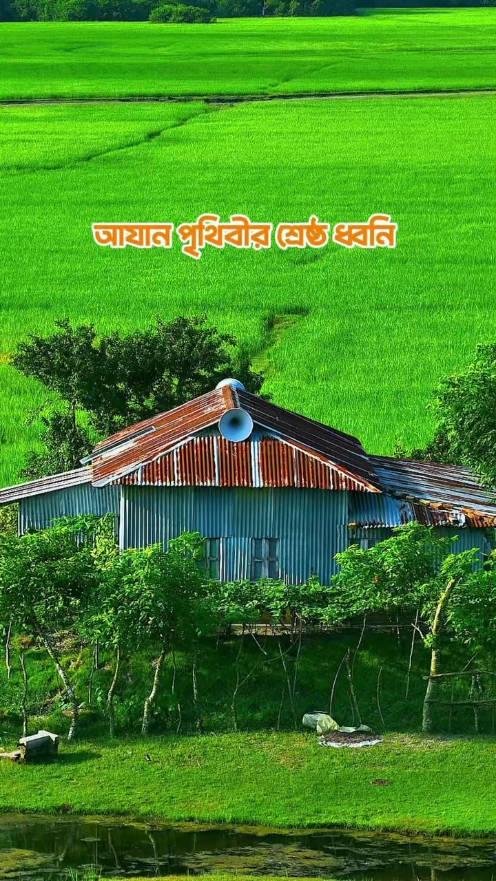 @❤️☘️শেষ পাতা ❤️🩹🍀🥰