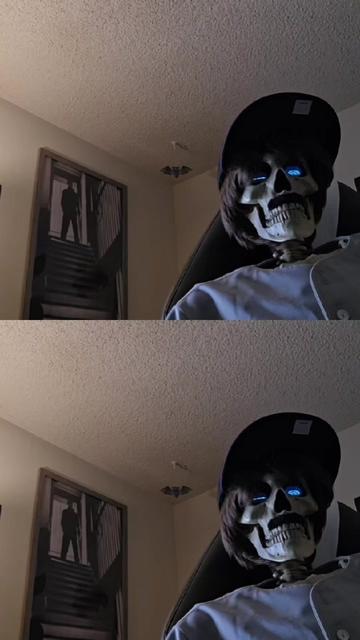 @silverfox_morales