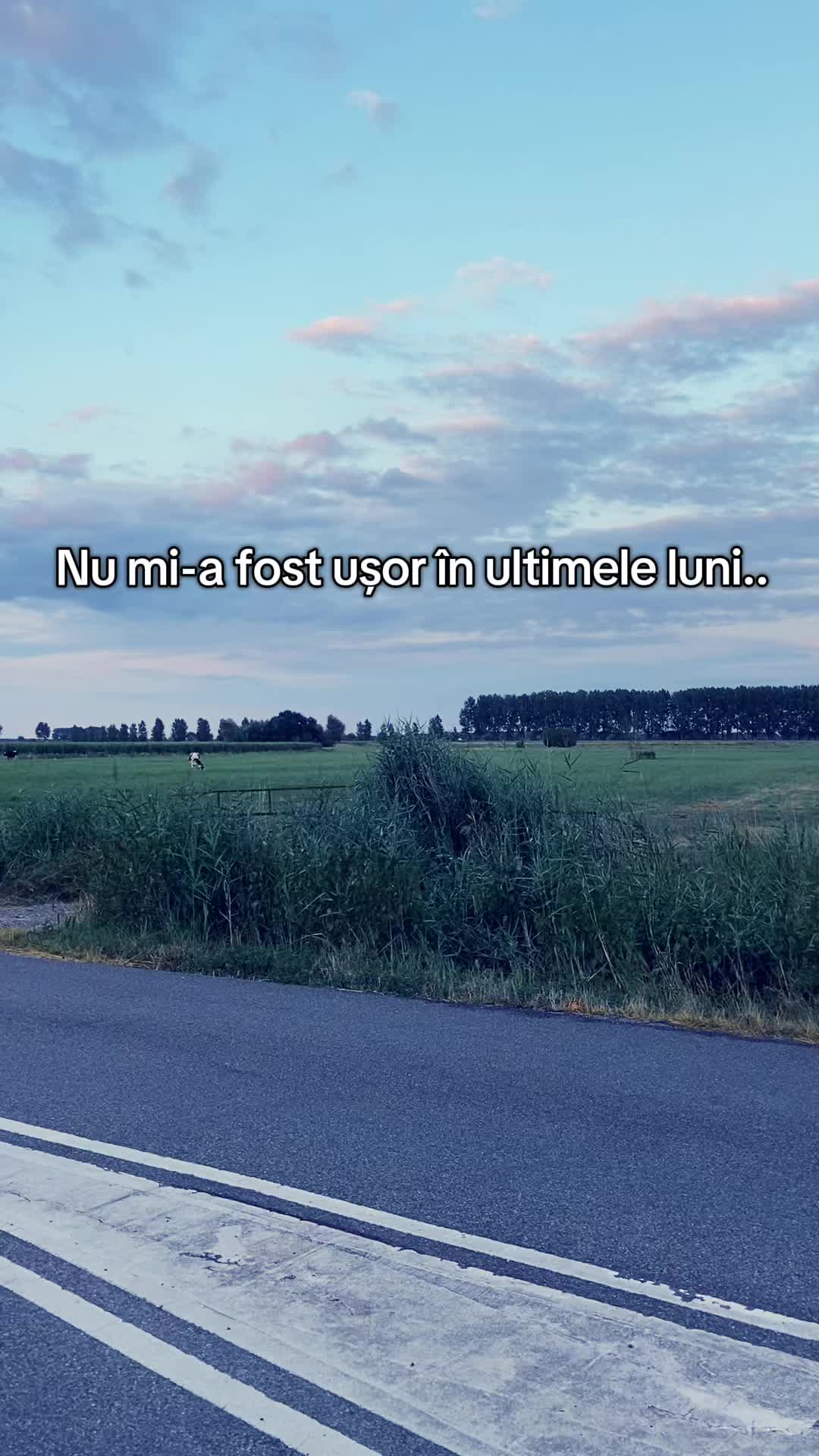 @Lori Loredana