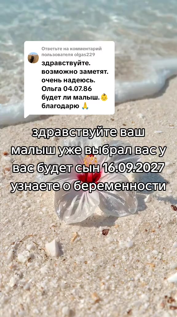 @Tarolog5467