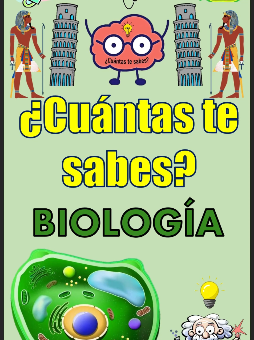 @&iquest;Cu&aacute;ntas te sabes?