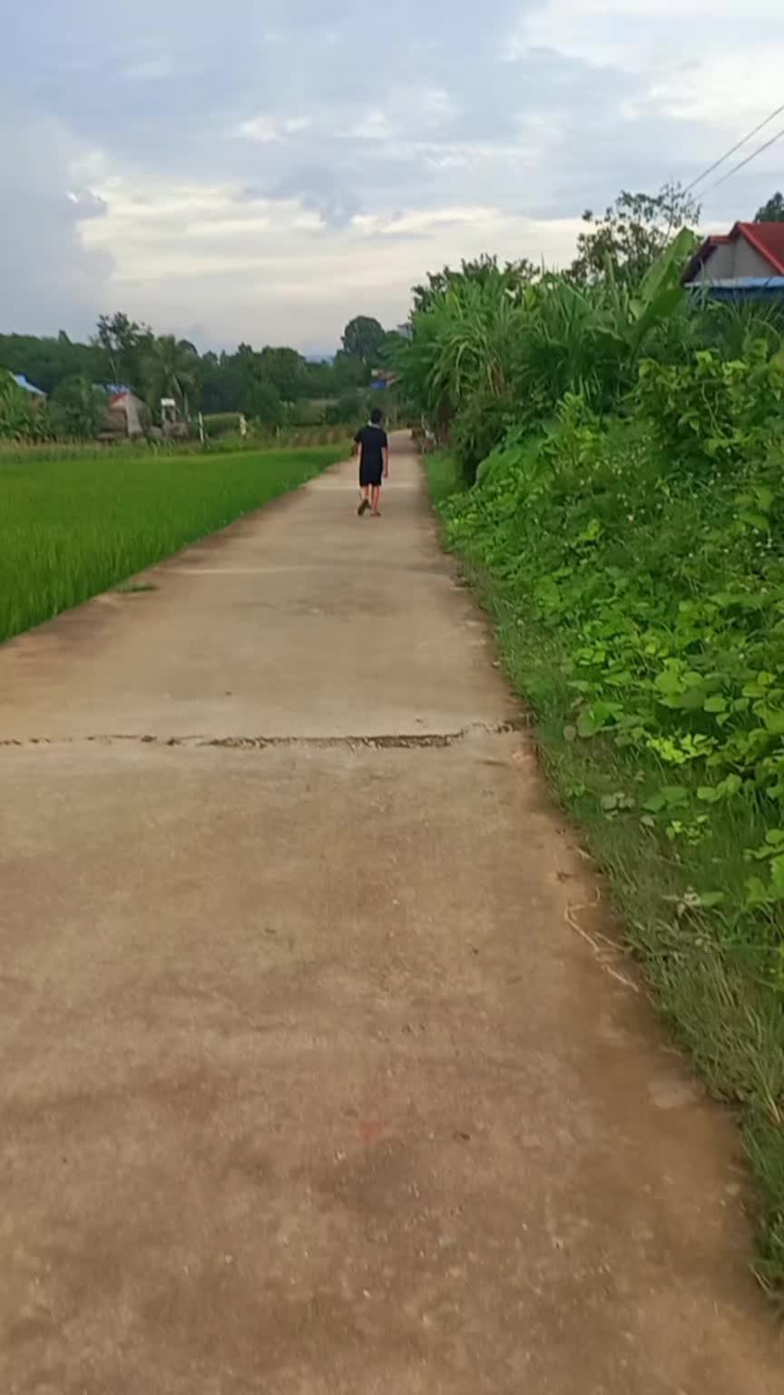@Đông y VŨ VĂN DÂN