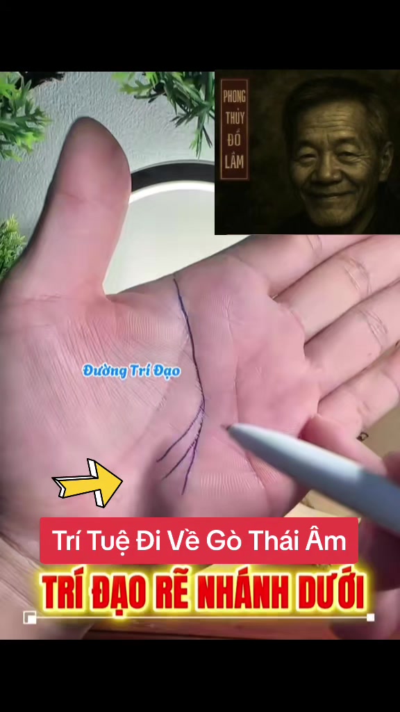 @Nh&acirc;n Tướng Sửa M&igrave;nh (Đỗ L&acirc;m)