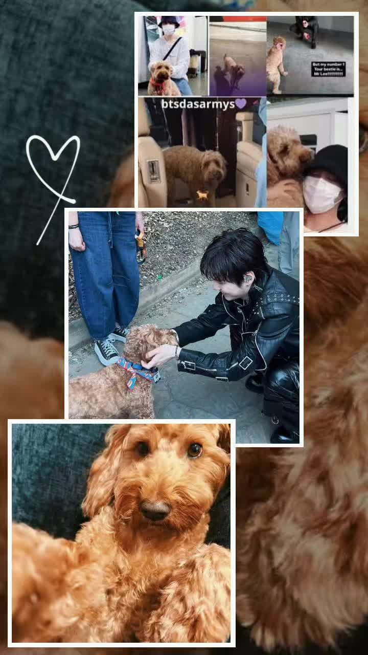 @✿•*¨`*•.¸Karii⊙⊝⊜⟭⟬⁷⟬⟭ ࣪𐚁̸ ࣪