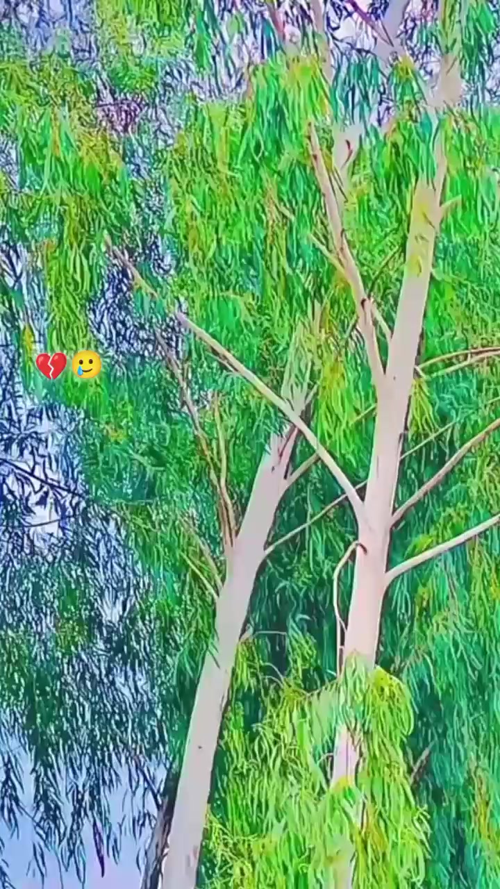@𝙕𝙆_🗿🚩