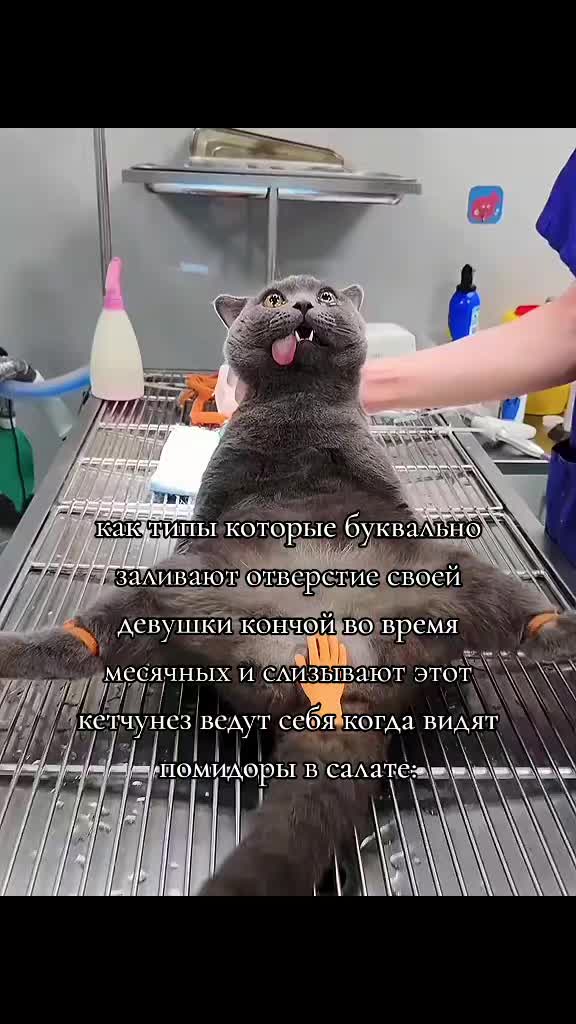 @gnom2949