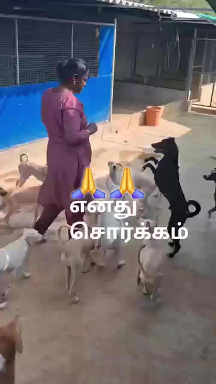 @⚔️ பழனி🤳 பாபா✍️ மாணவர்கள்⚔️🤫