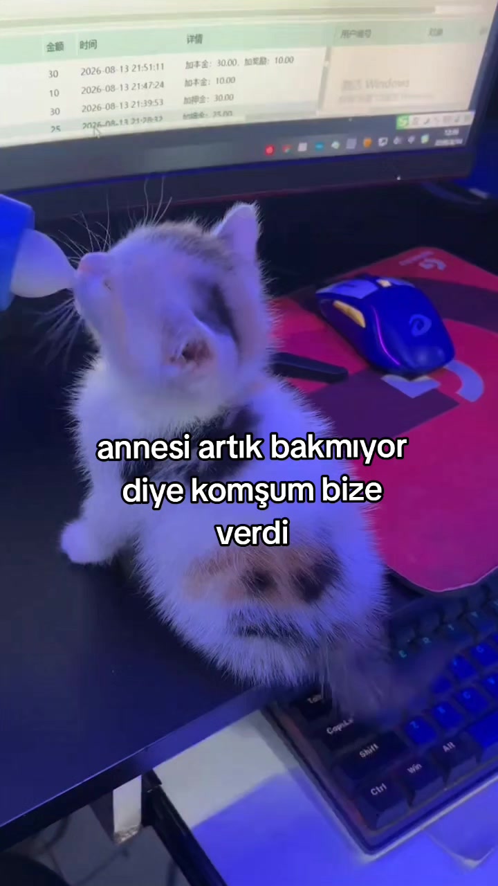 @rolland