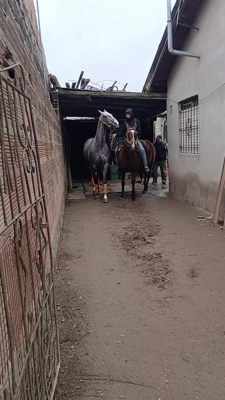 @Soledad Gigena 🏇♥️