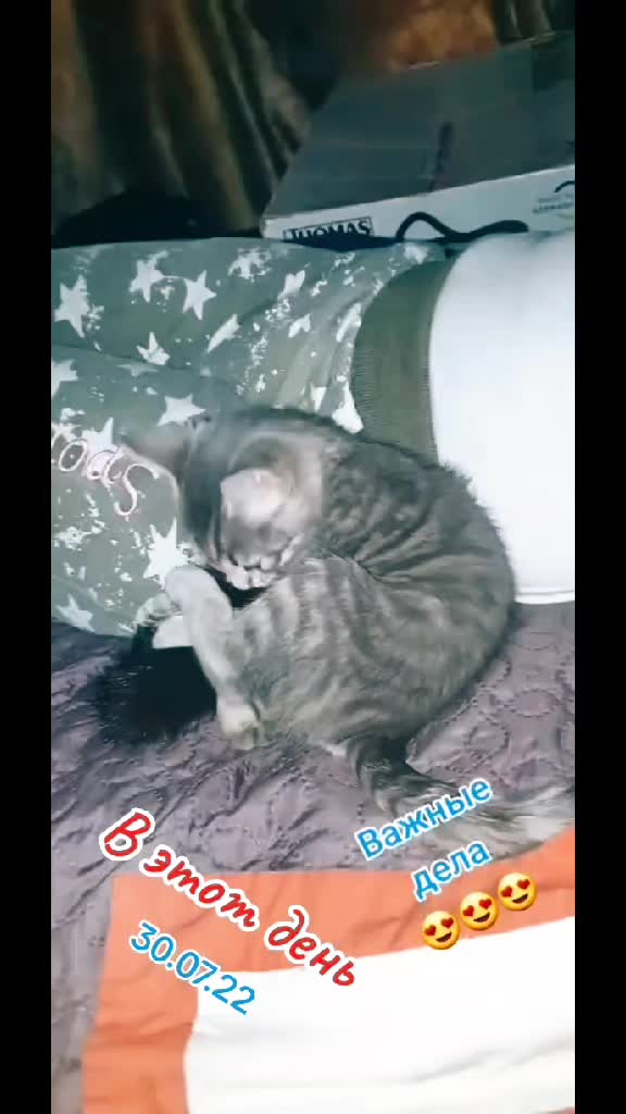 @ТILZIT 88-90