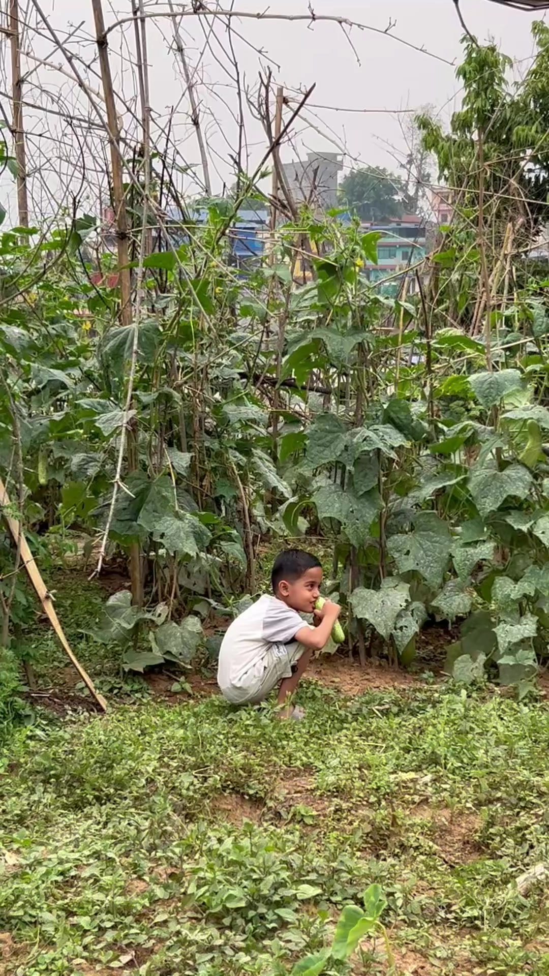 @sanjugiri🧿