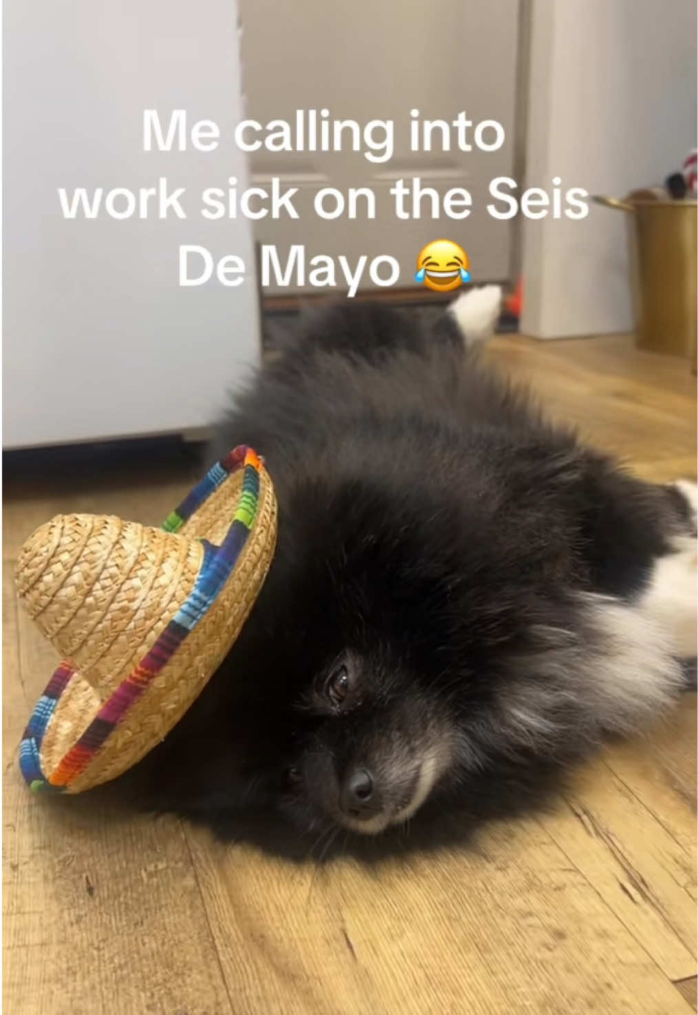 @BiggiePomPom