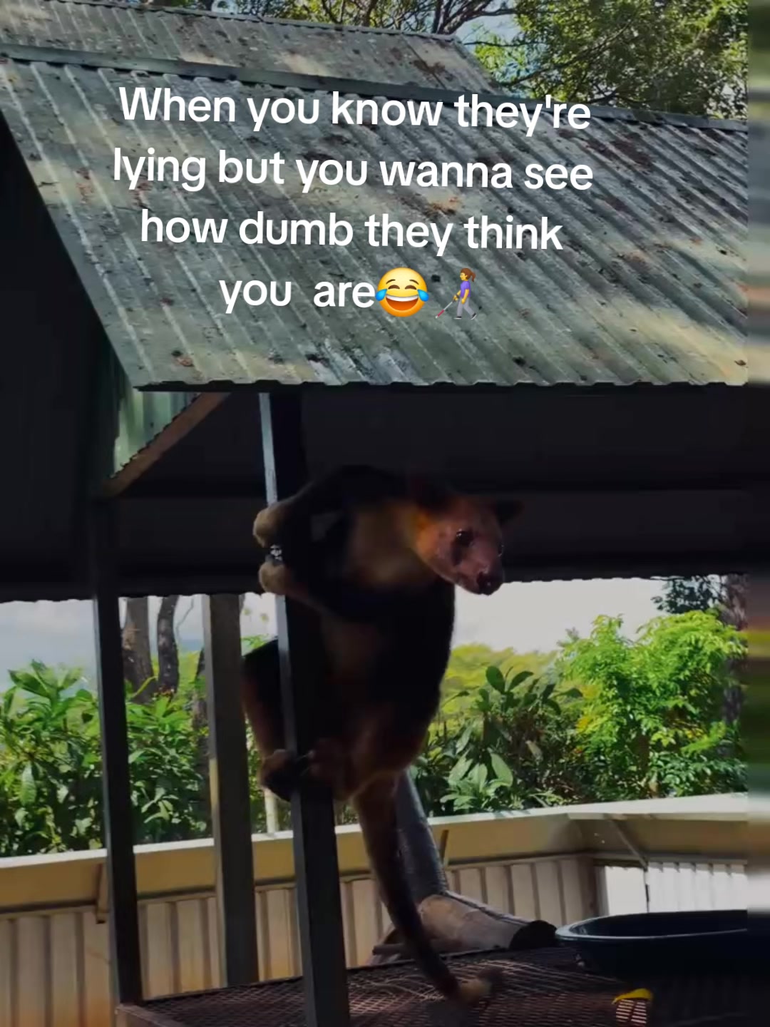 @M