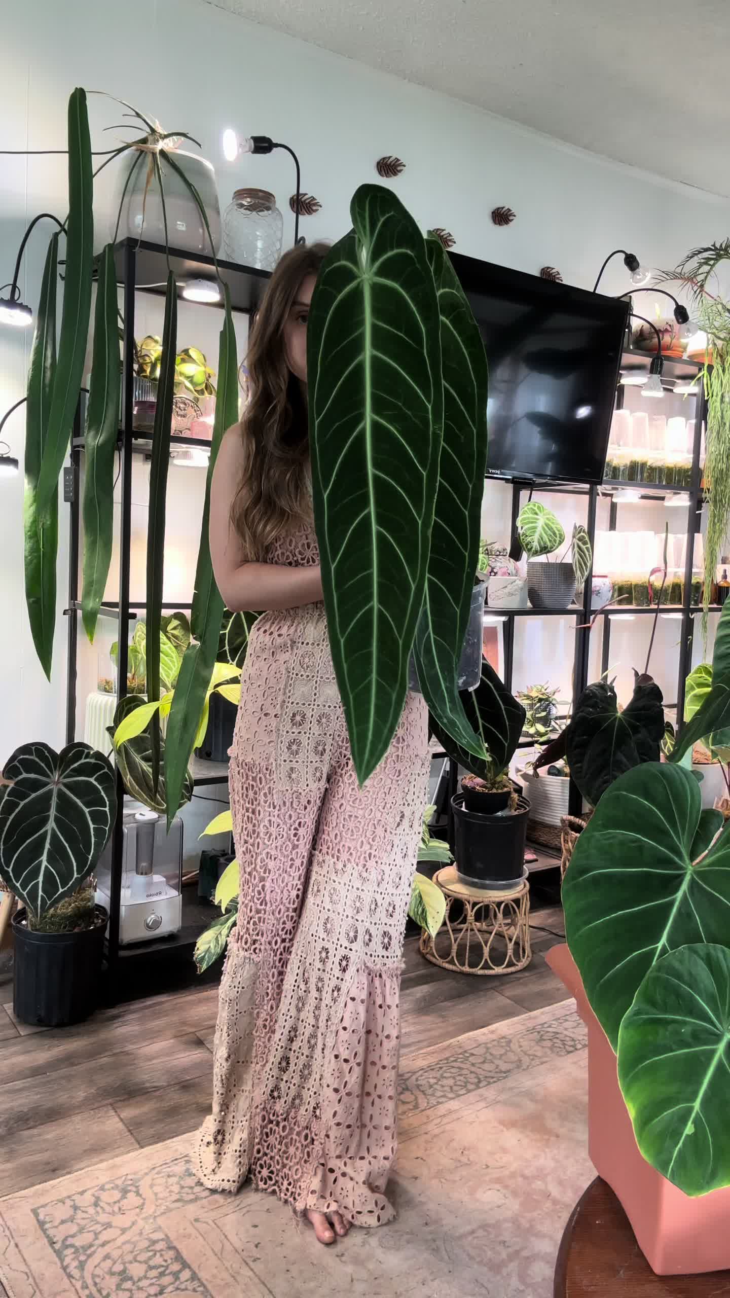 @theplantgirl_diaries