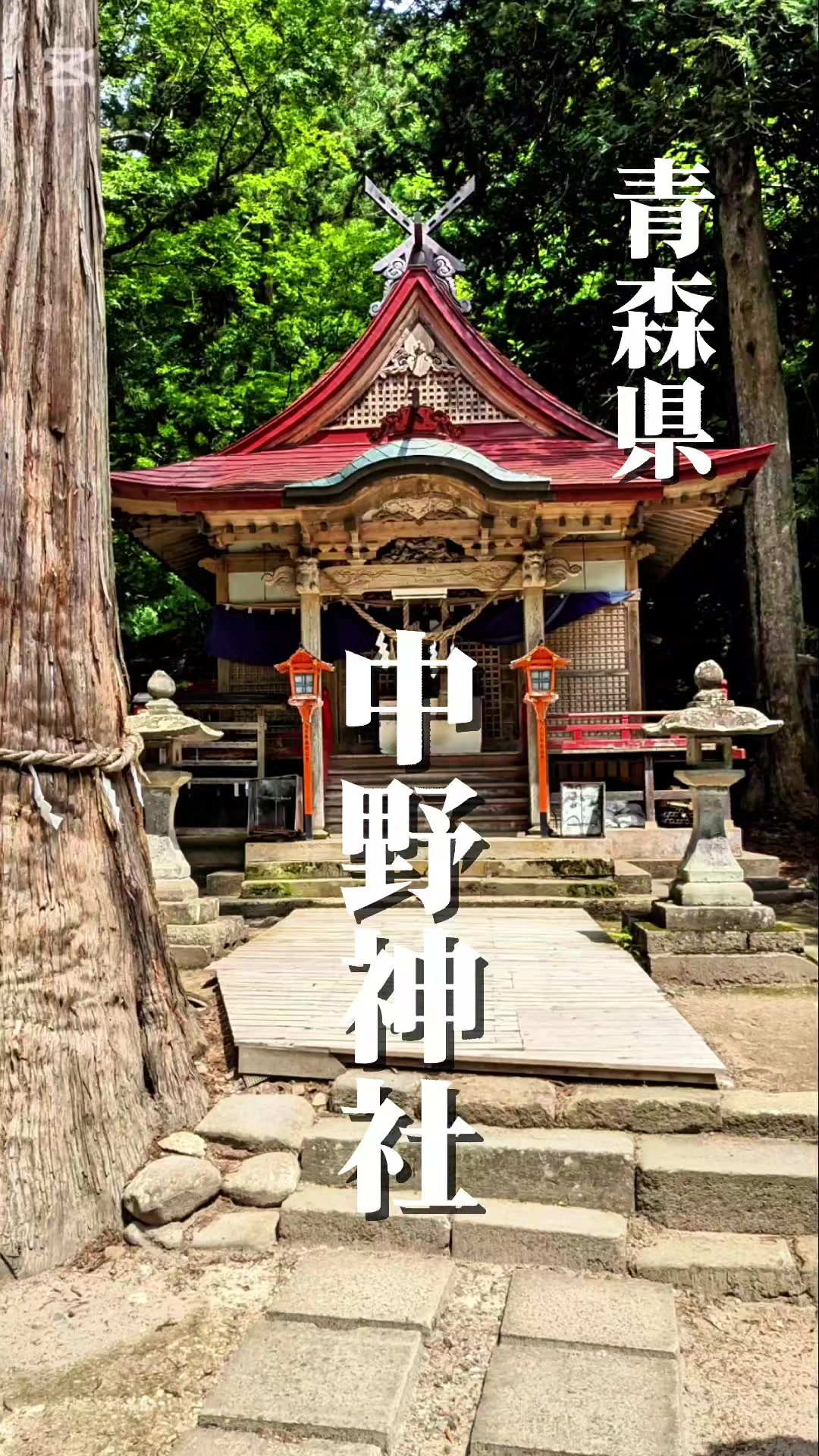 @⛩️MIKADO⛩️