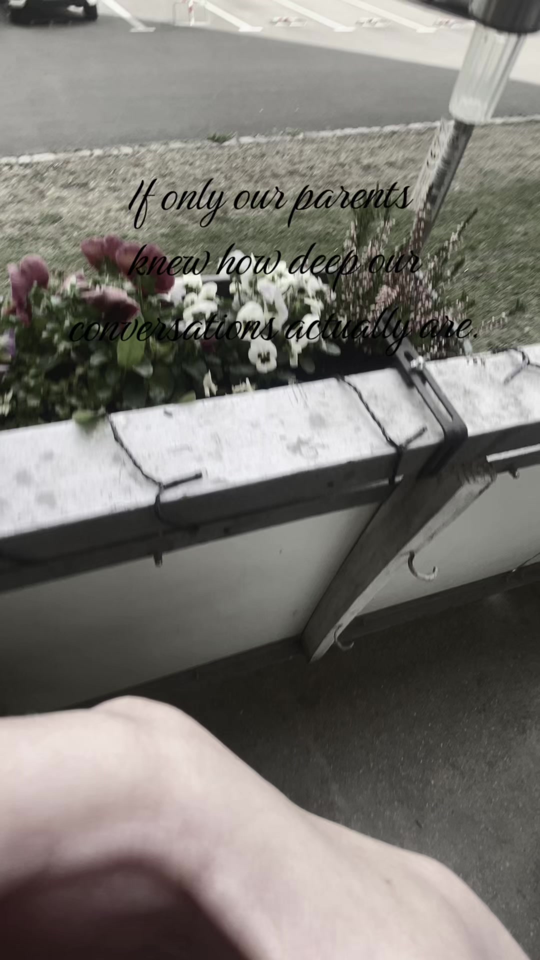 @¿¿¿