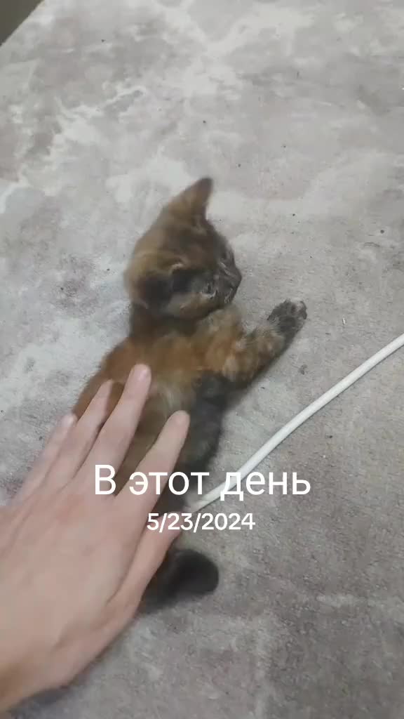 @Дима Земчихин