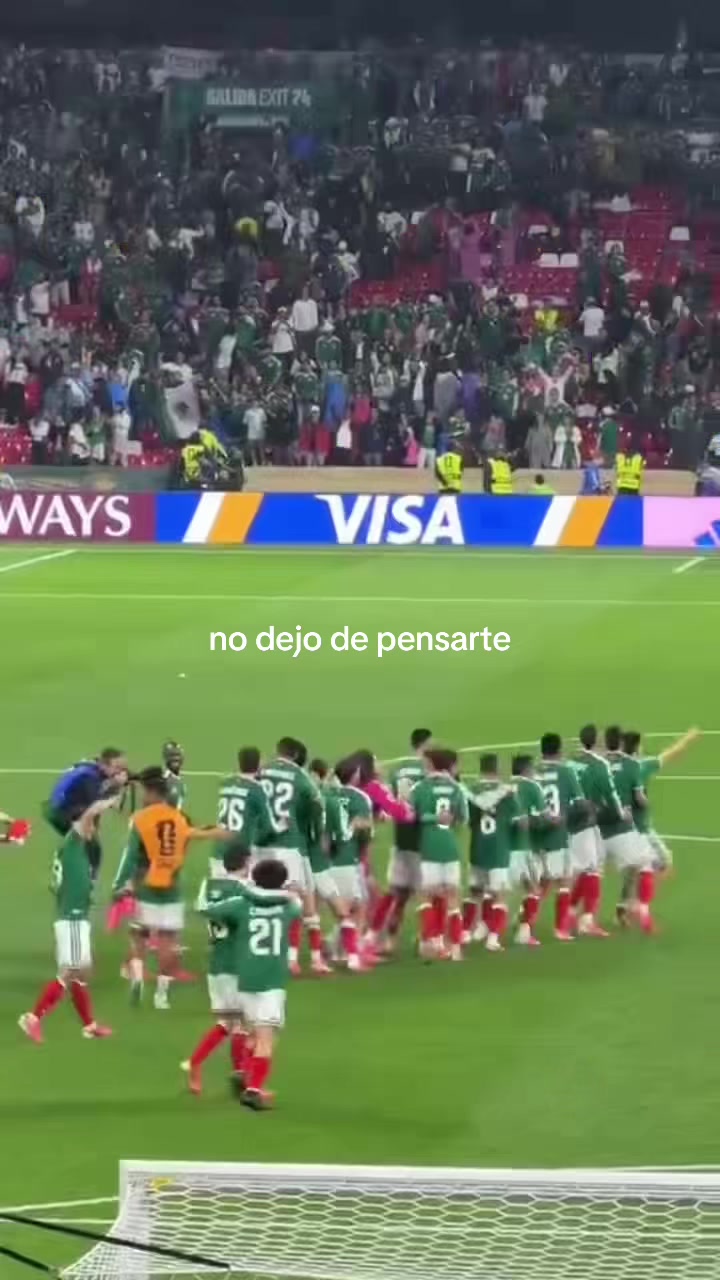 @luisavox