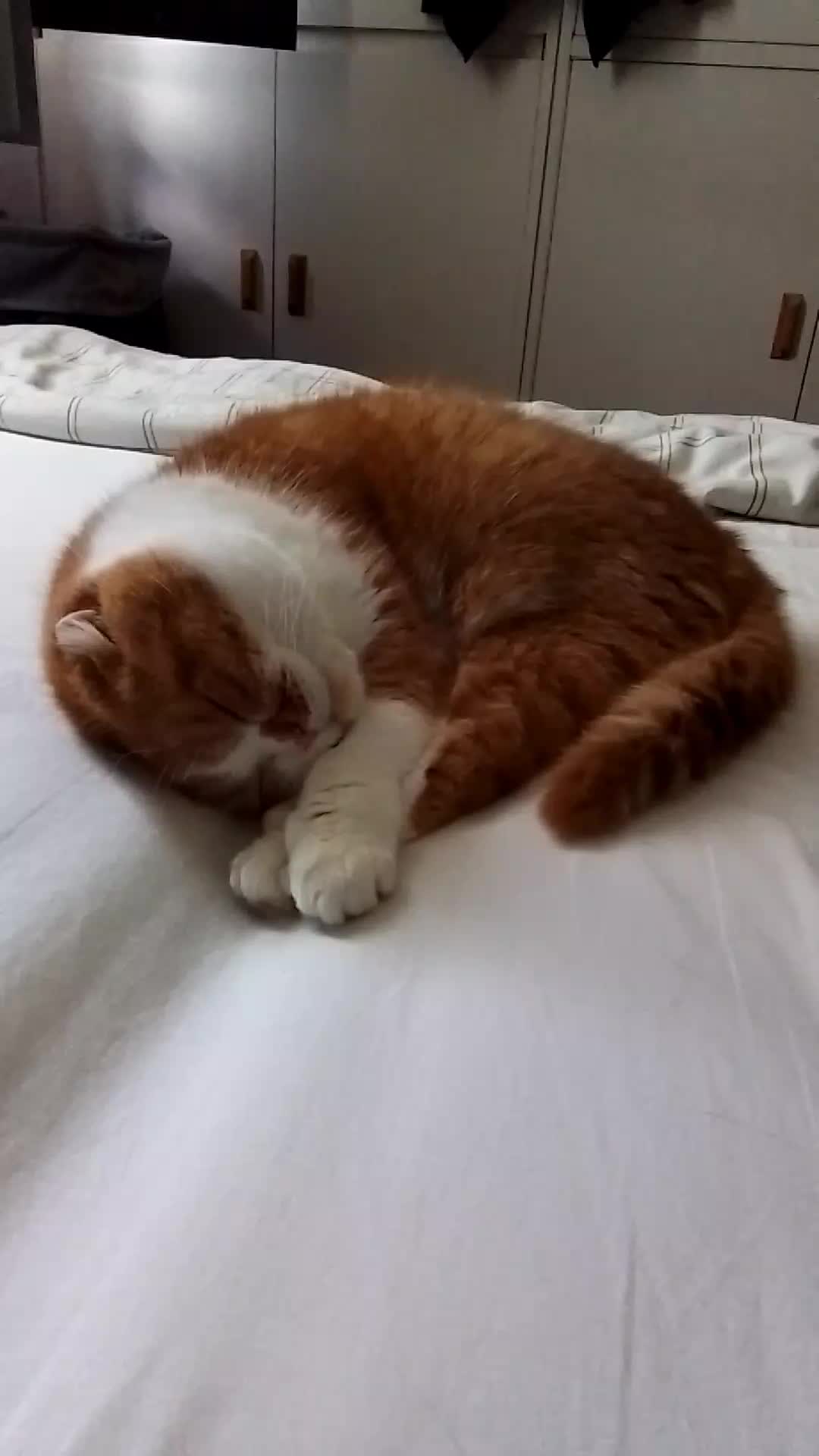 @Anneke & Simba