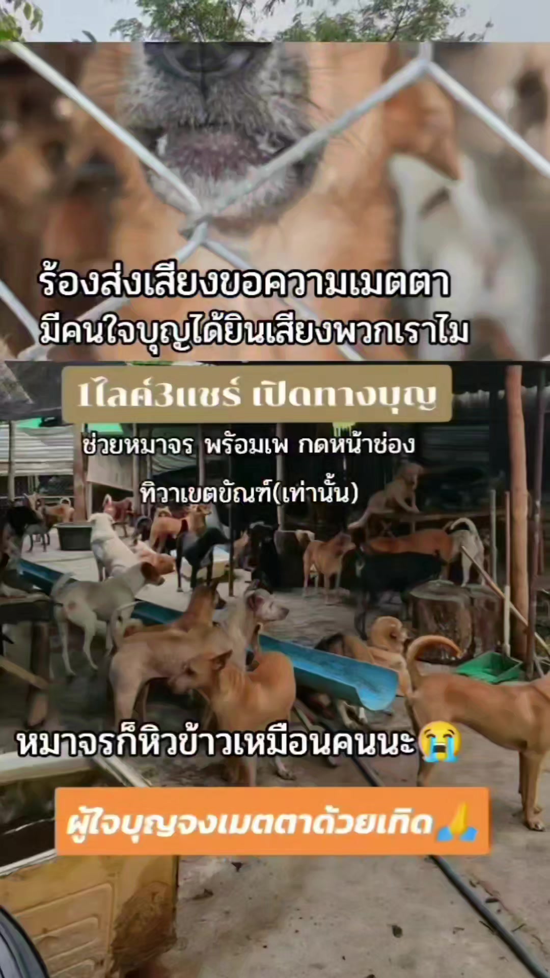@๐๘๖๑๔o๘๓๙๖ทิวาเขตขัณฑ์