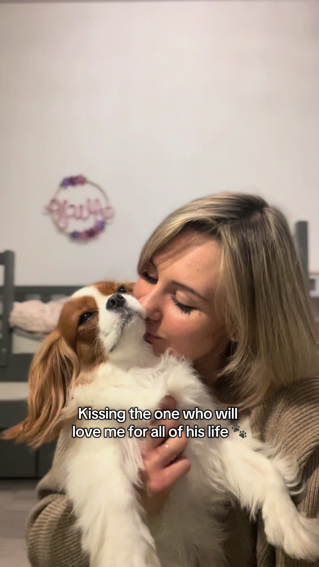 @Lilly Cavalier 🐶