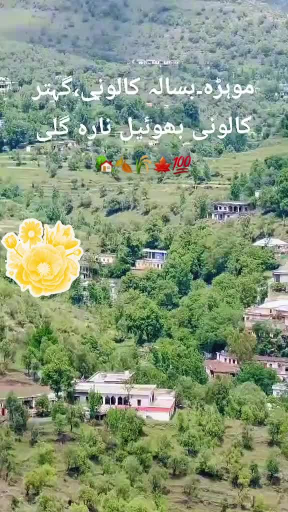 @🕊️.⋆کلمدم کشمیری.⋆👸