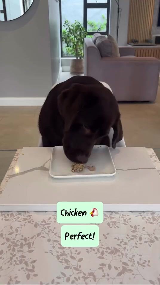 @Pup Chef