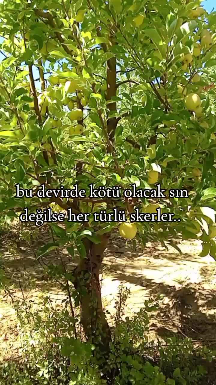 @Gara çocuk33🇹🇷