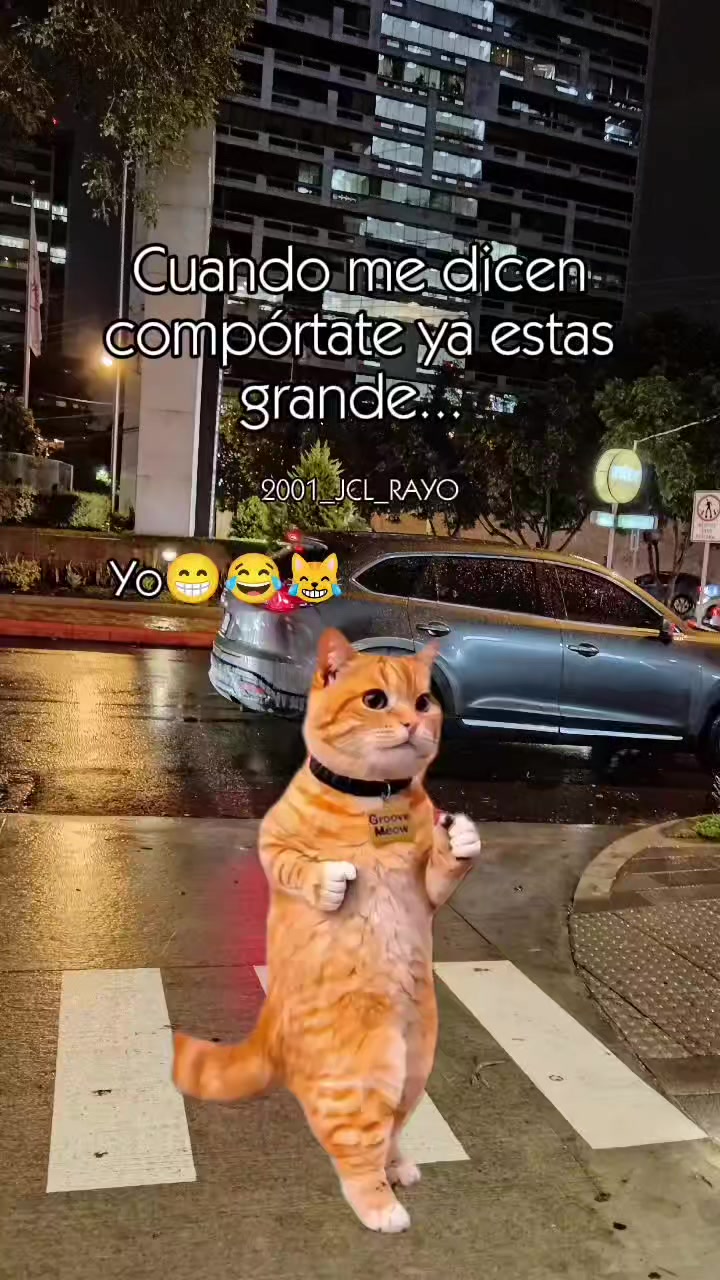 @... consentido🧃🧃🫆🫆