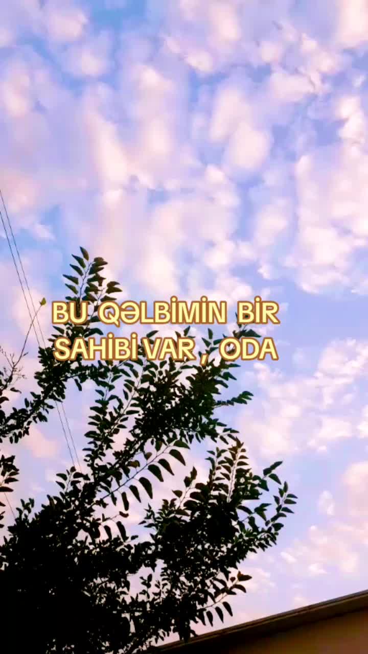@✅AYDIN HƏSƏNOV✅